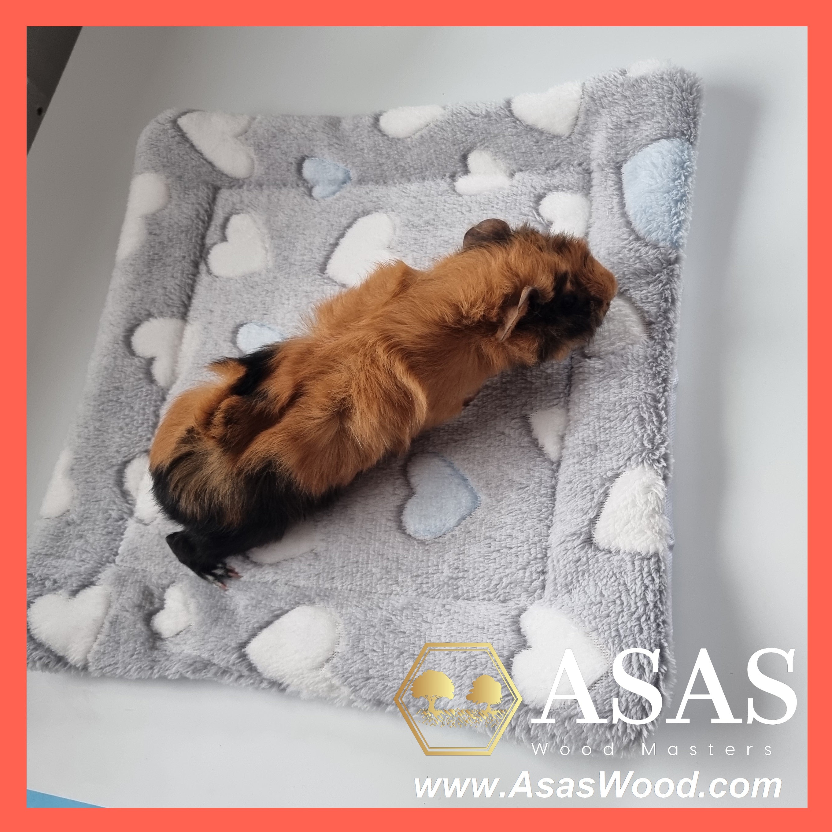 Are fleece liners good for guinea pigs? AsasWood