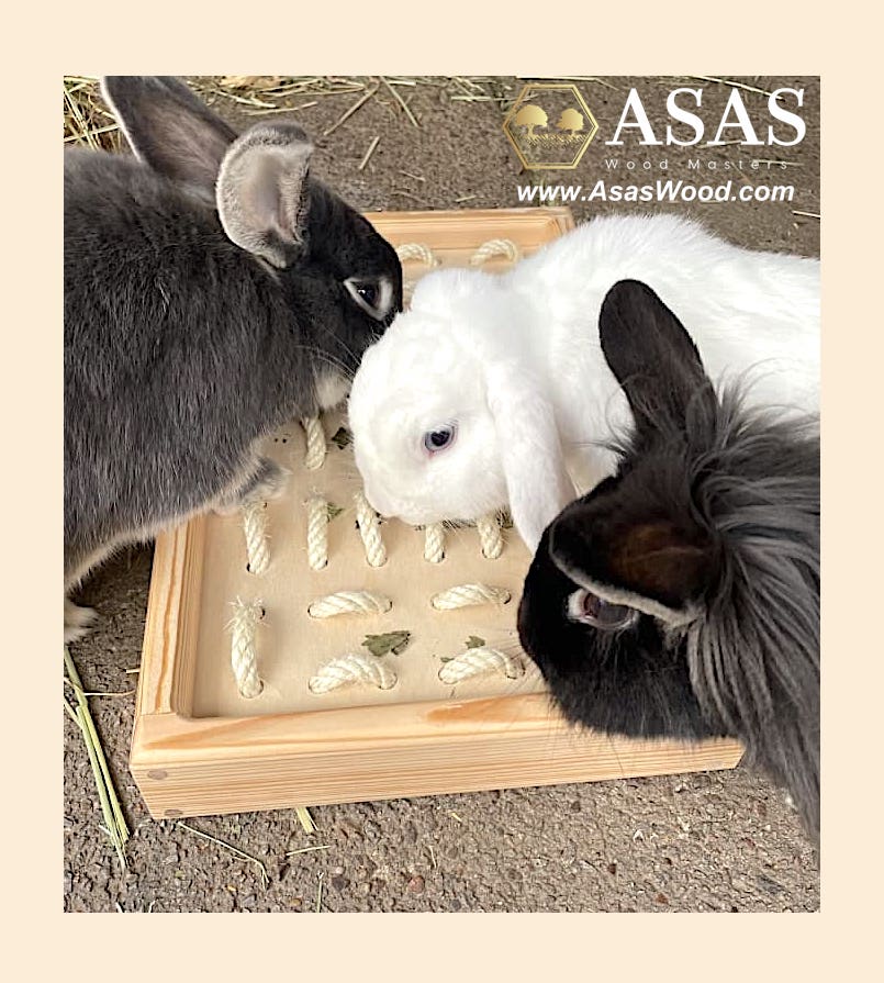 Three bunny rabbits playing with rabbit digging box
