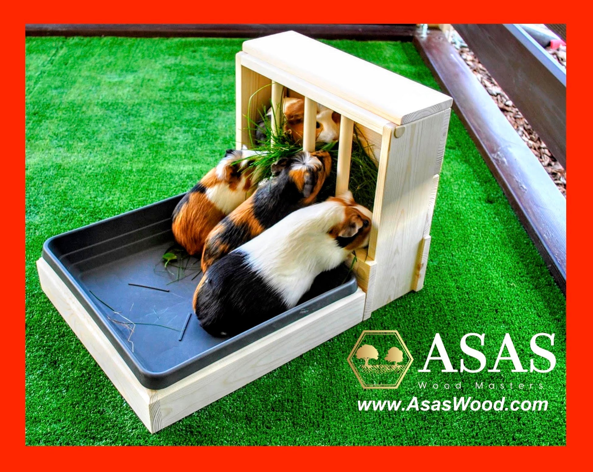 Guinea Pig Hay Feeder Collection AsasWood