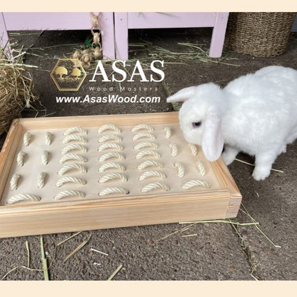 white rabbit is playing with bunny rabbit digging box