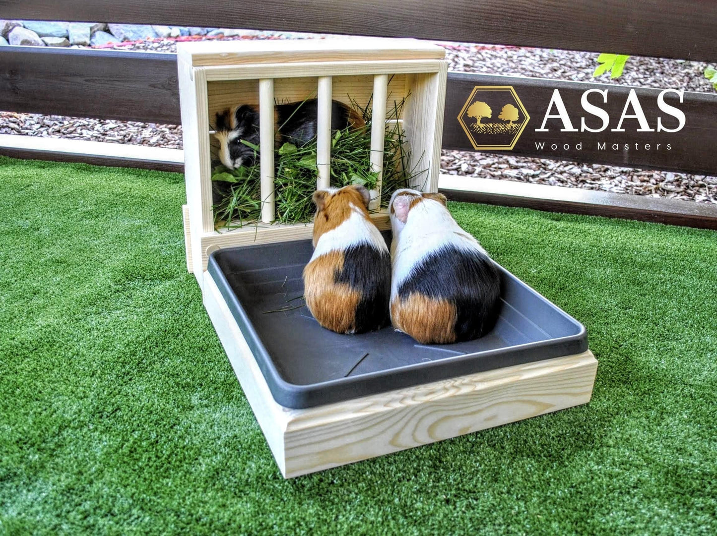 guinea pig hay feeder with litter box and three lovely guinea pigs