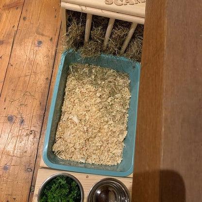 bunny rabbit litter box with hay feeder full of hay and food and water bowls station with green salad and personalization