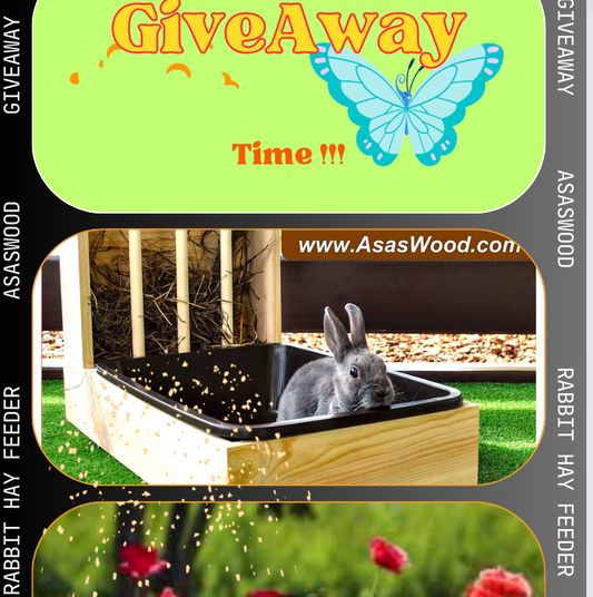 GiveAway Rabbit litter box AsasWood 