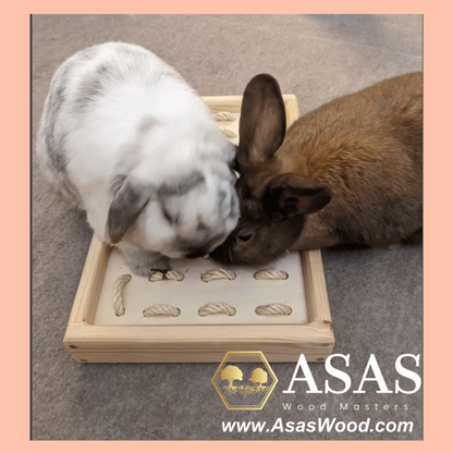 two rabbits playing with rabbit digging box from asaswood