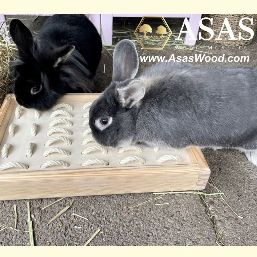 Rabbit Digging Box ❤️