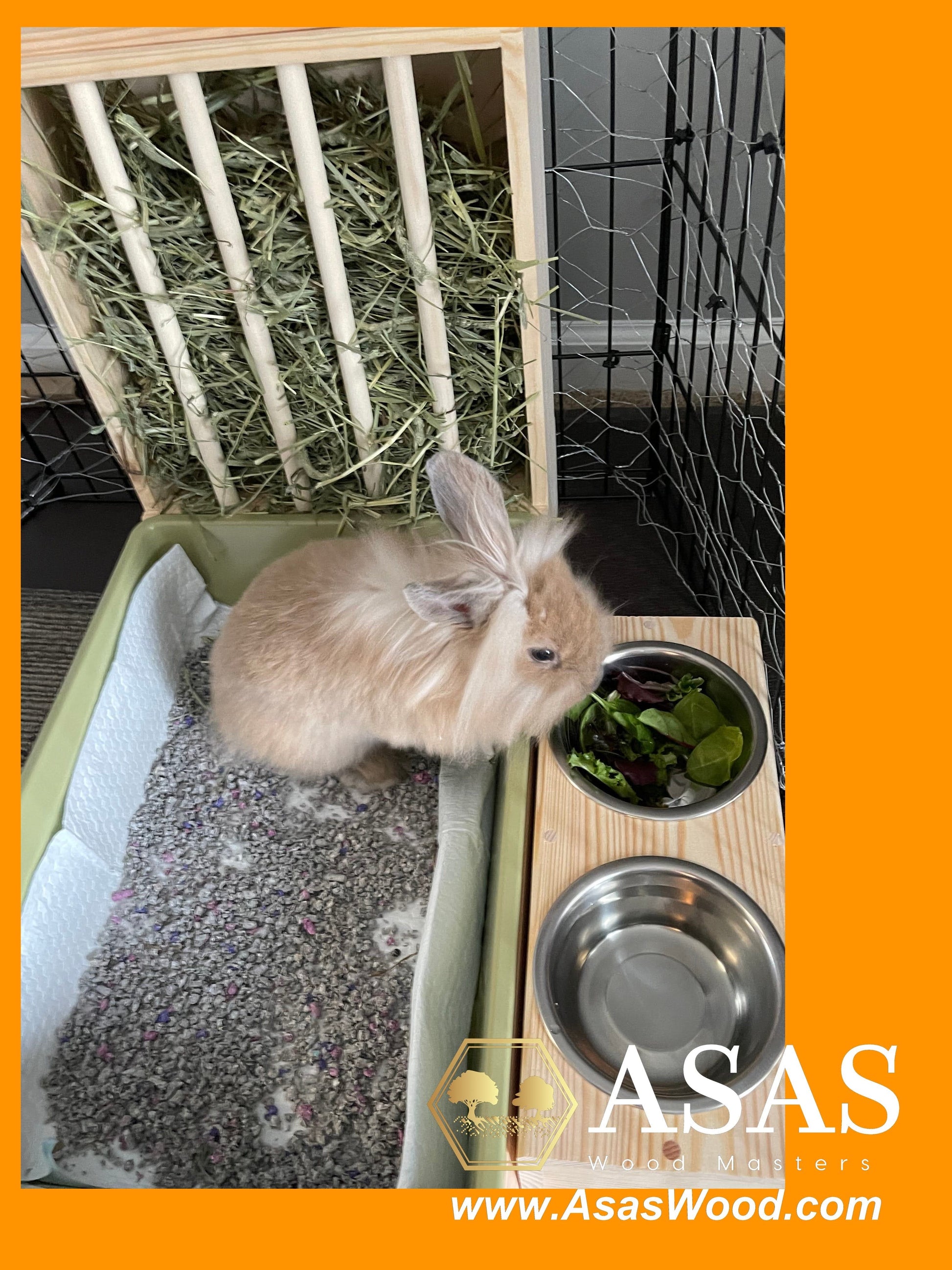 cute lionhead baby bunny rabbit eating greens from food bowl, rabbit litter box and hay feeder, made by asaswood