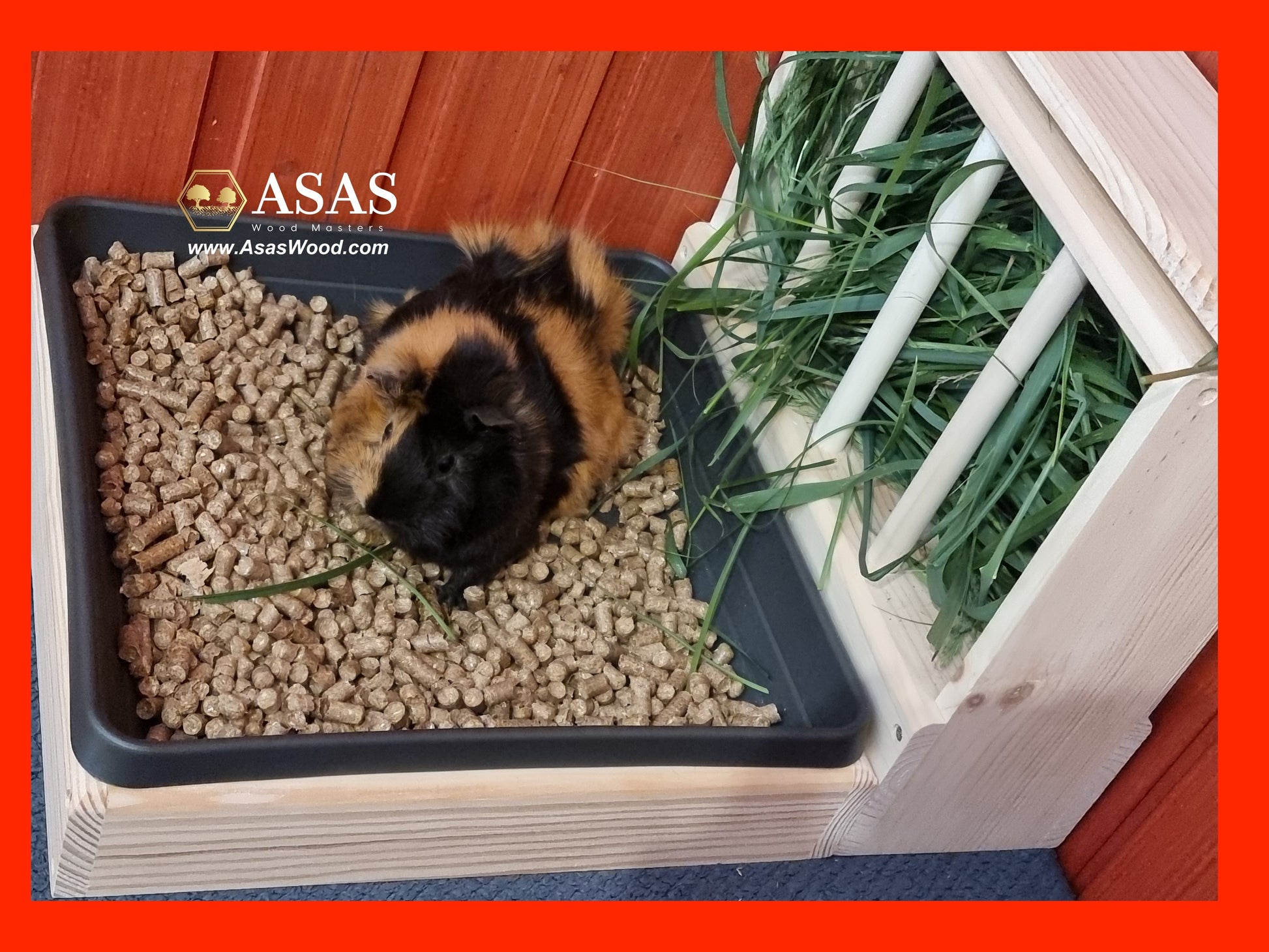 hay feeder with litter box with guinea pig eating grass and hay 