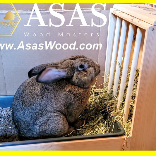 XL rabbit hay feeder with litter box giant bunny potty, cute bunny  sitting