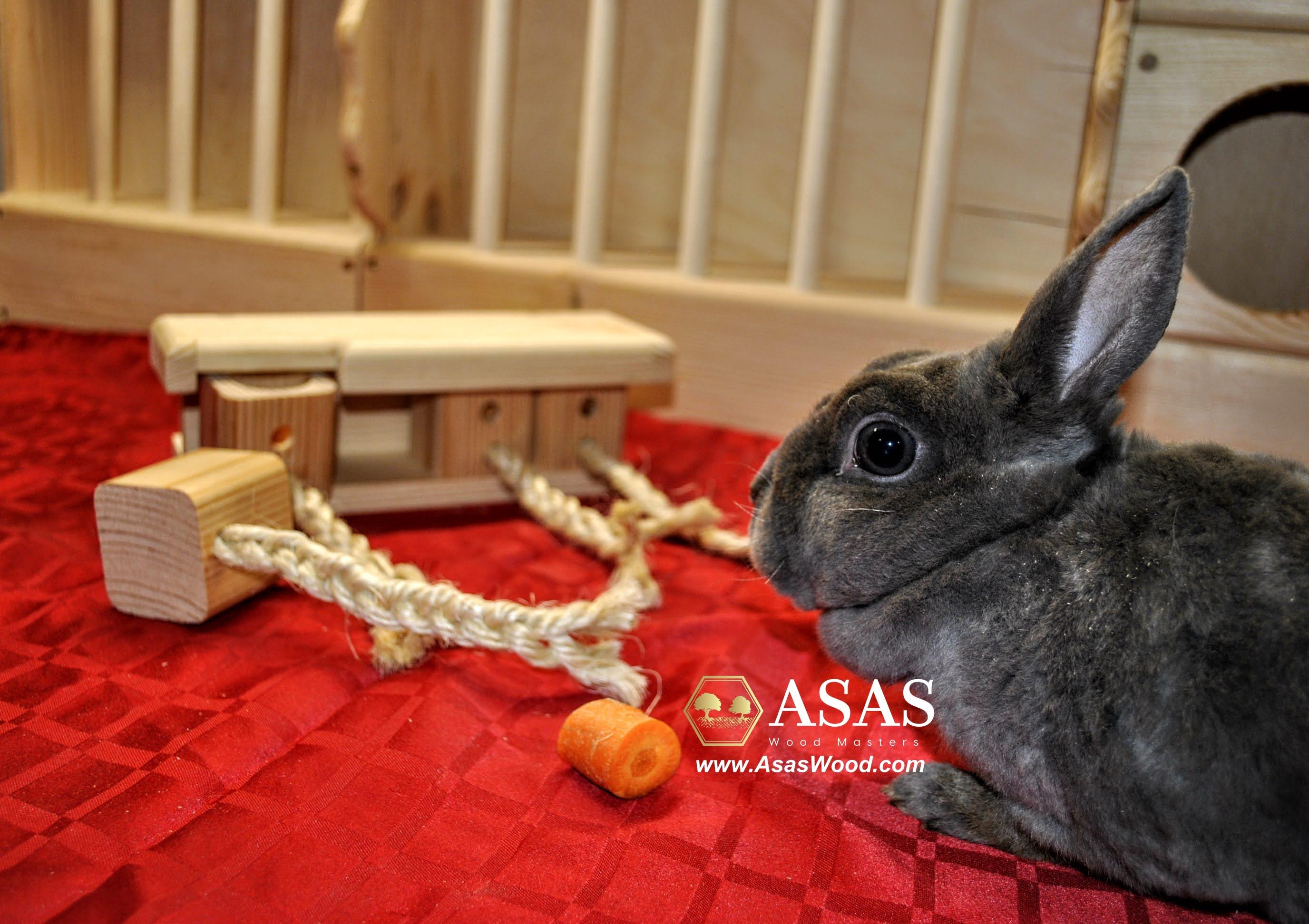 Toys for flemish giant rabbits sale