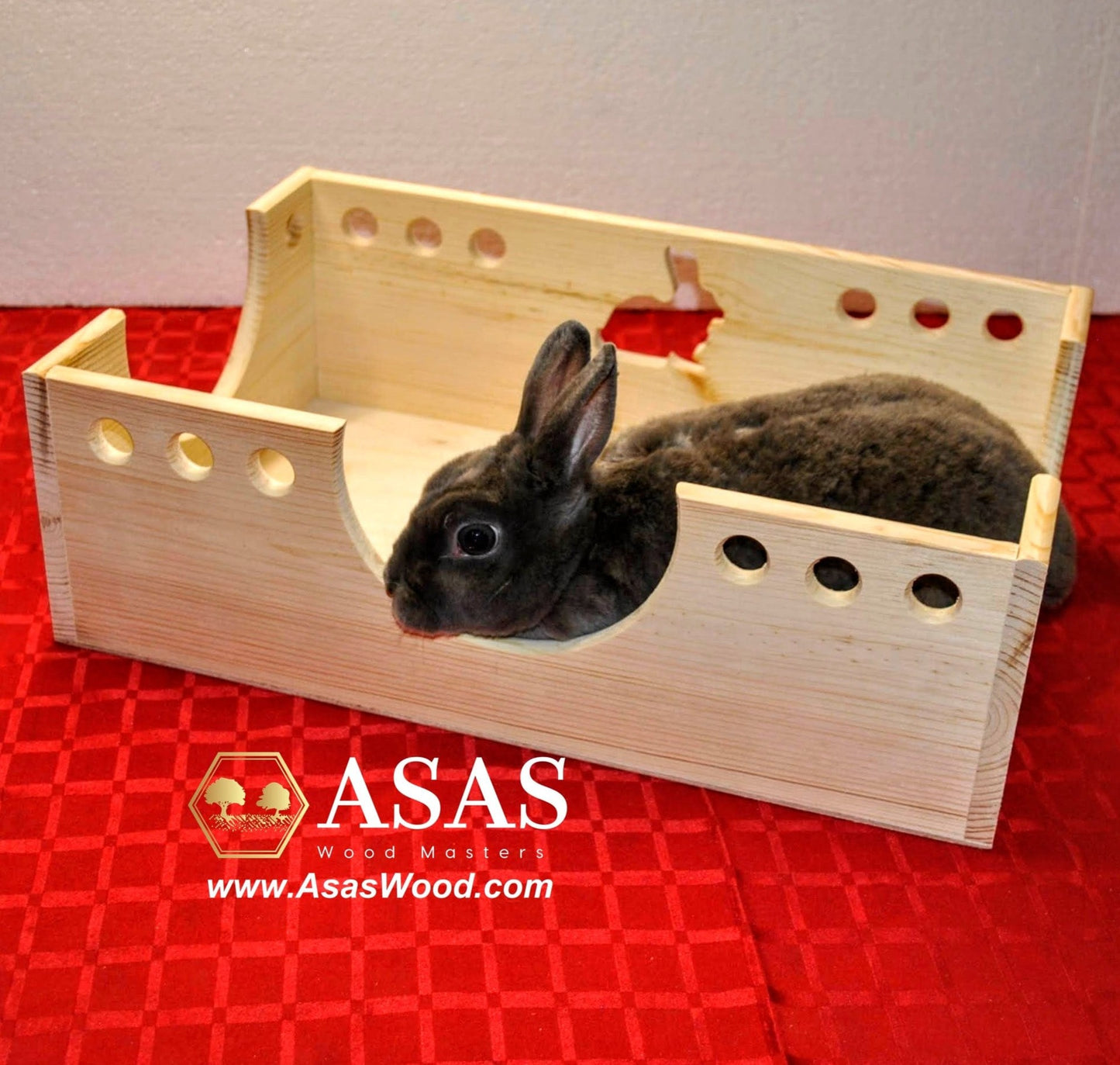 cute rabbit in his wooden rabbit bed