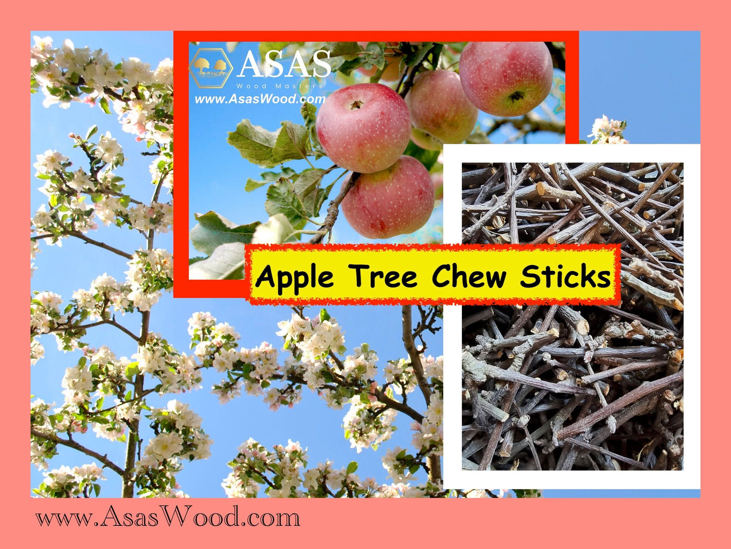 light picture with apple sticks, apple fruit and apple tree blossom