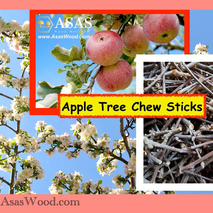 Apple Tree Chew Sticks, made by asaswood