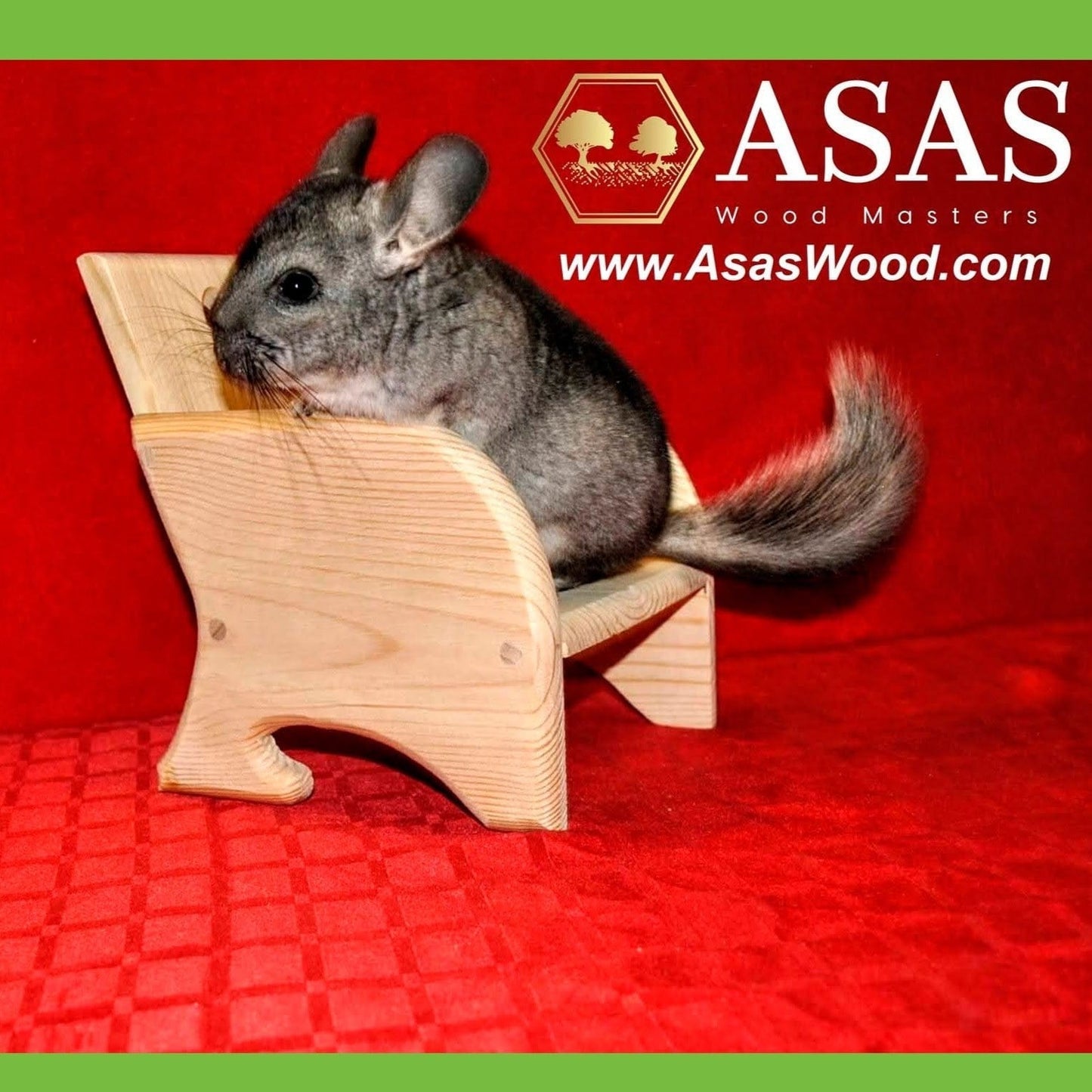 chinchilla is playing on chinchilla chair, made by asaswood
