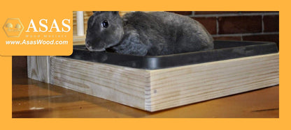 small bunny is watching sitting in litter box