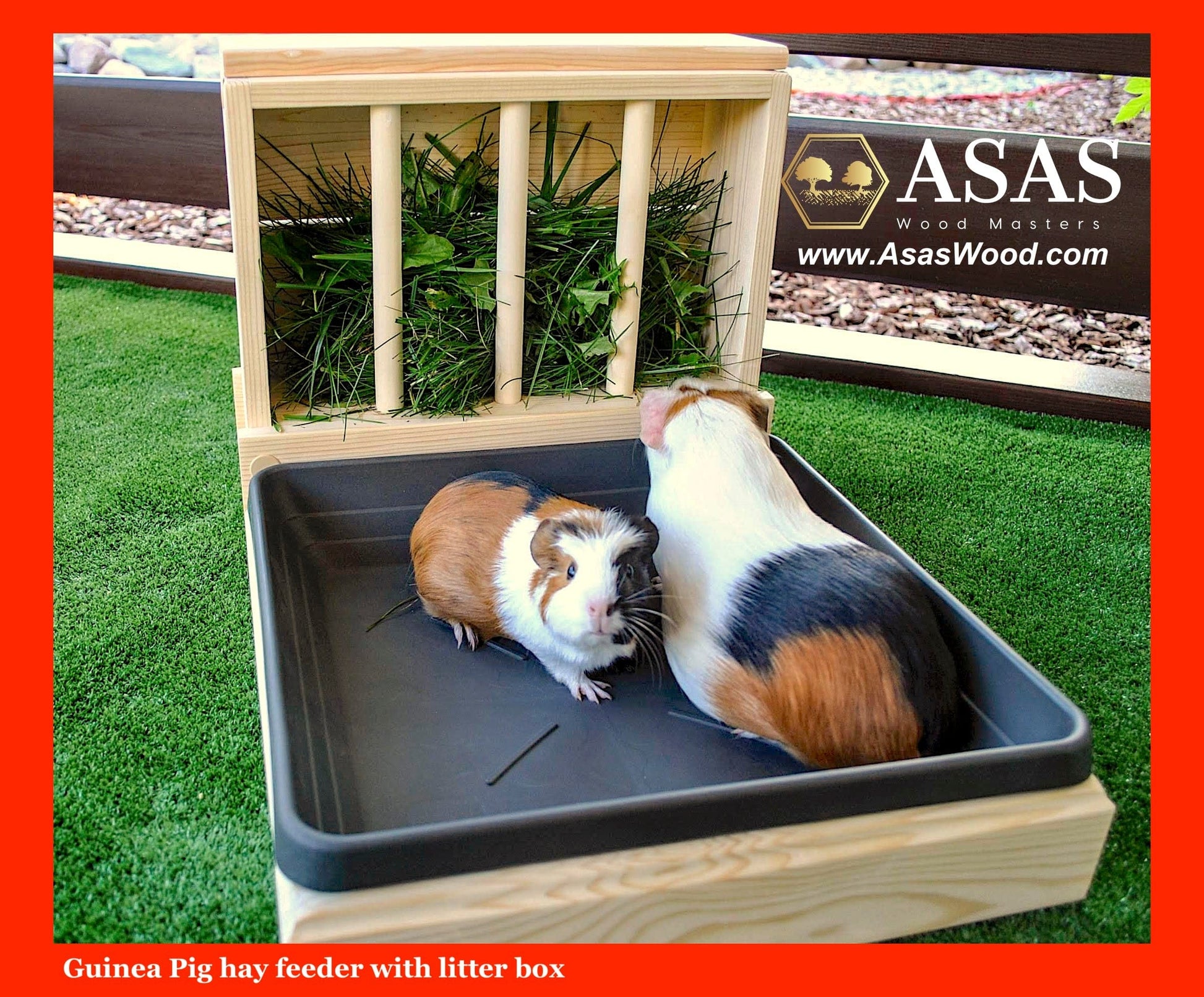 Guinea pig hay feeder with litter box and two cute guinea pigs