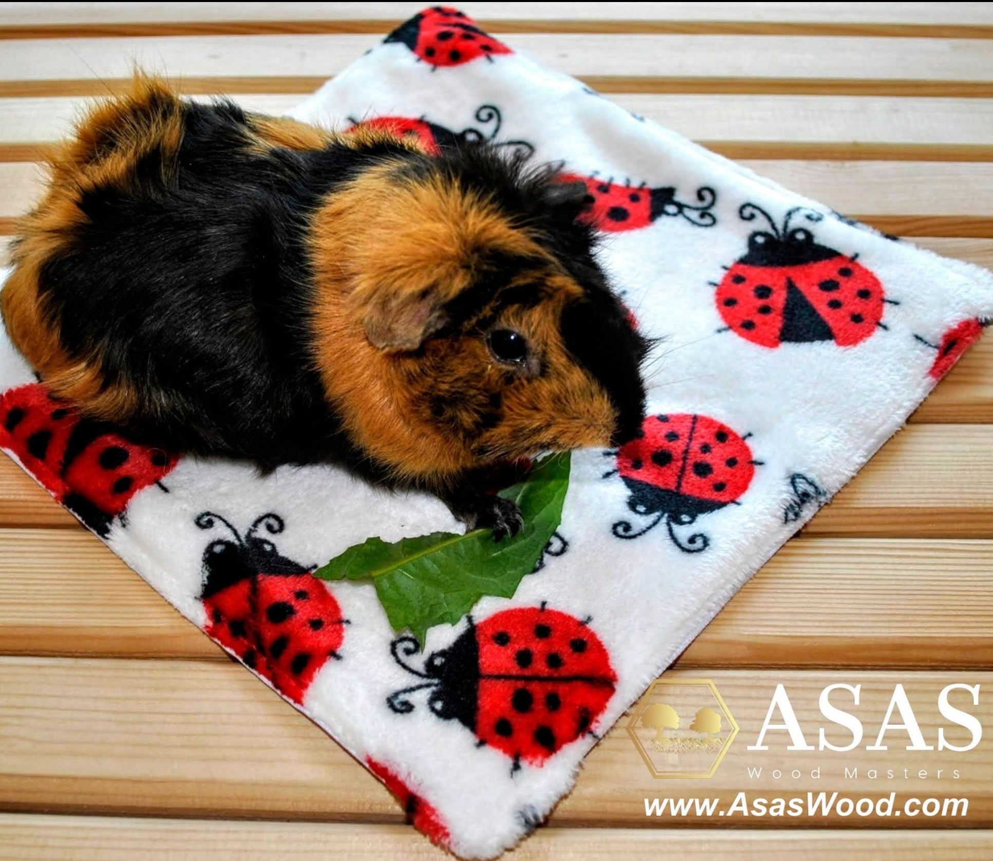guinea pig on his fleece liner, made by asaswood