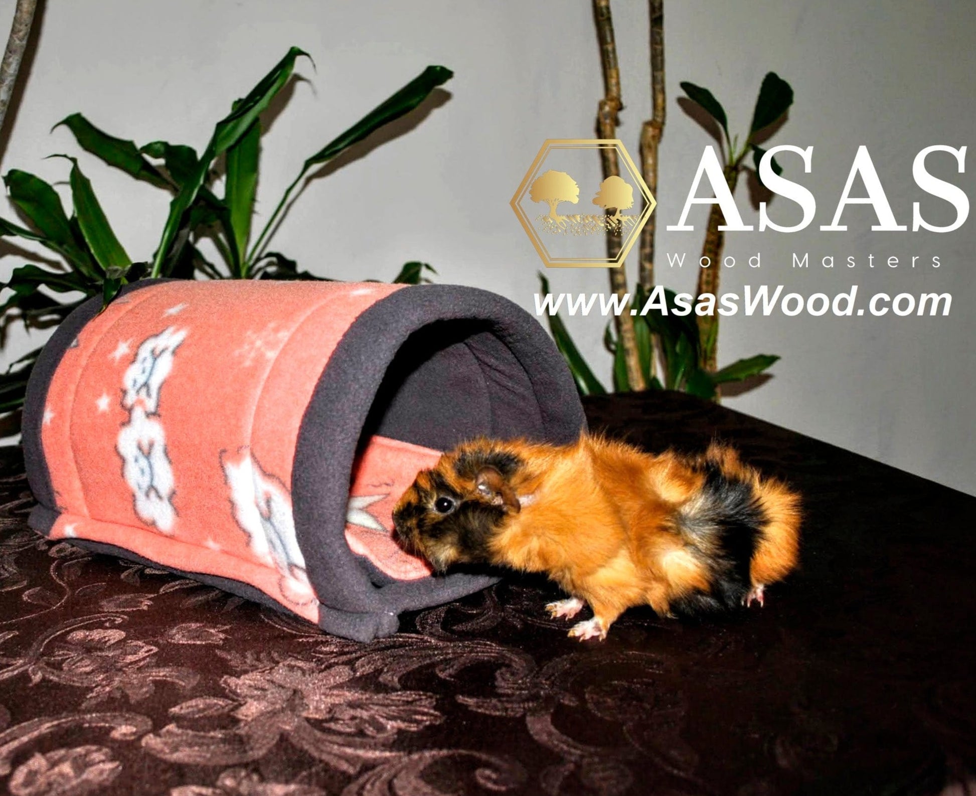 Guinea pig is going inside the tunnel, made by asaswood