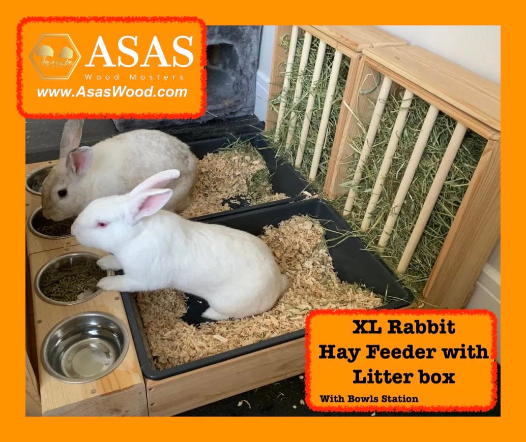 Two white big bunnies are eating and drink water from food bowls while sitting in their XL size rabbit litter box with hay feeder, made by AsasWood