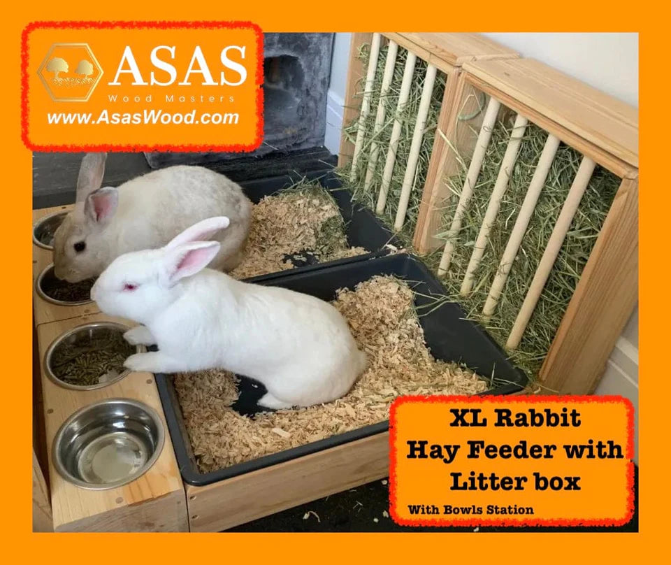 Rabbit hay feeder with litter box with food and drink bowls station and two white bunnies 