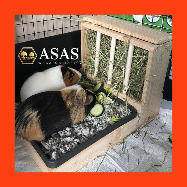 Mangeoire à foin pour cochon d'inde avec bac à litière ❤️ – AsasWood