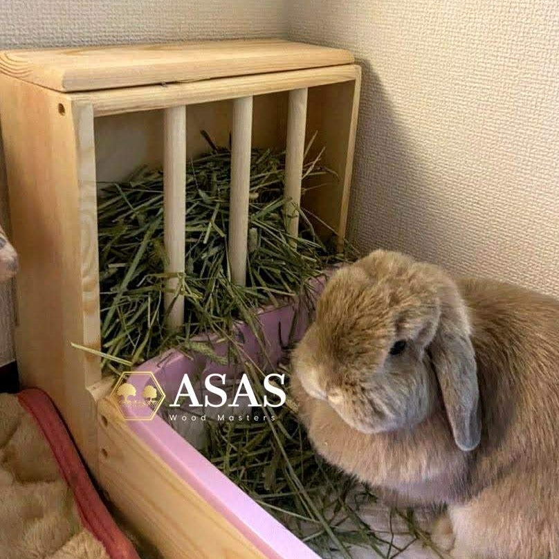 cute rabbit is in his litter box with rabbit hay feeder feedback