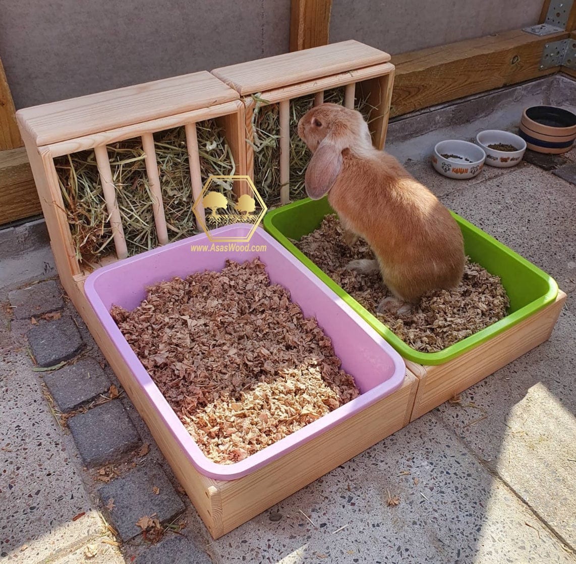 bunny rabbit is eating hay from wooden rabbit hay feeder, two hay feeder with litter boxes set up
