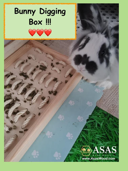 rabbit digging box and cute bunny