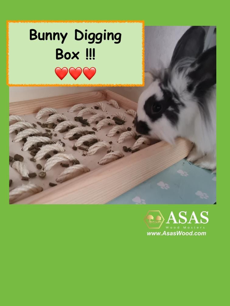 bunny rabbit digging box