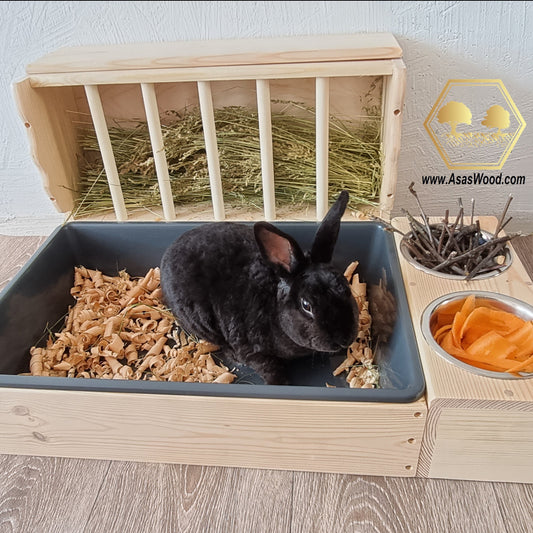 Black bunny rabbit looking at me. He is sitting in rabbit litter box with wood shavings. Rabbit hay feeder with hay. two metal food bowls full of apple tree sticks to chew and carrot shaving to enjoy!