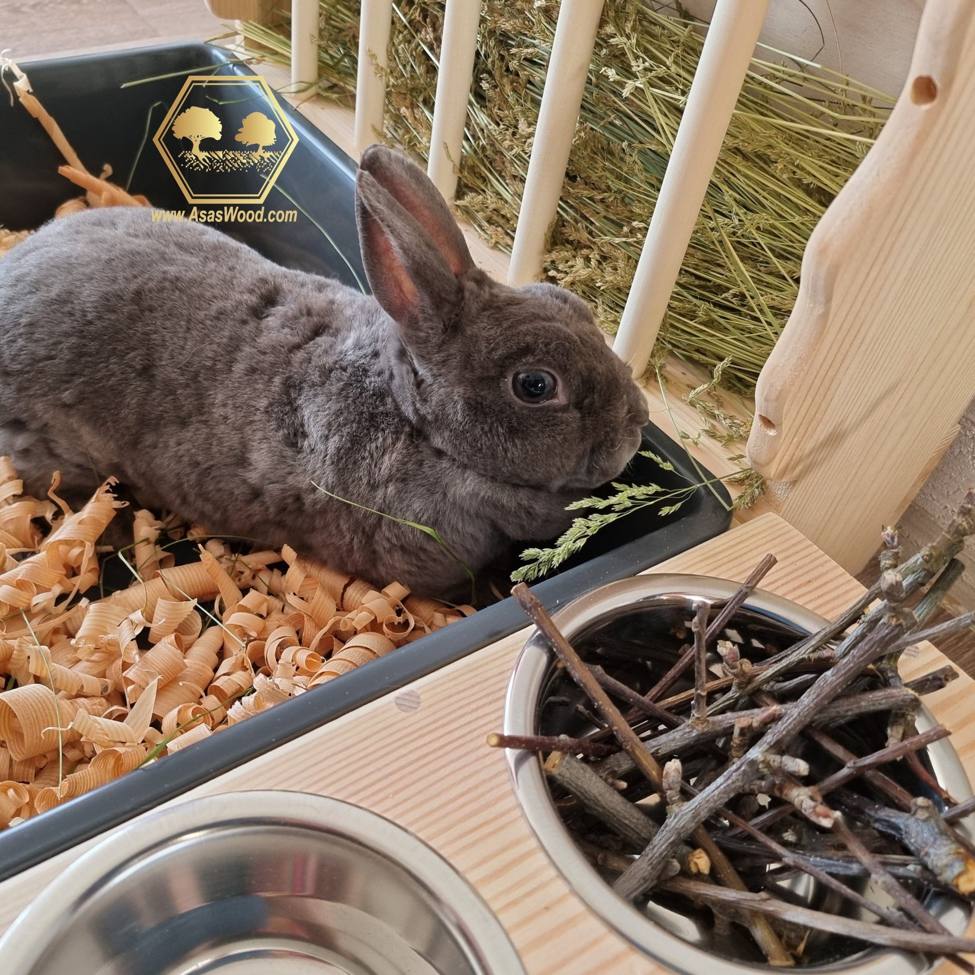 beautiful blue bunny rabbit inside rabbit litter box eating hay from wooden handmade hay feeder. Food bowl is full of apple tree chew sticks to chew.