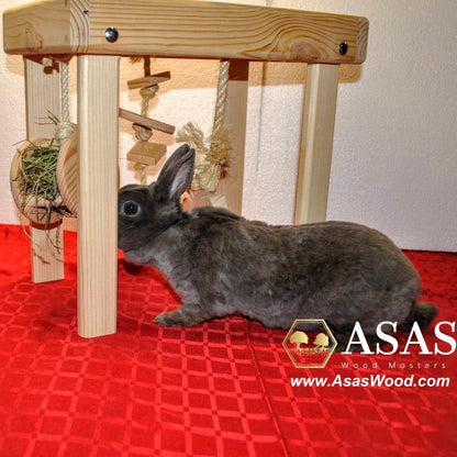 blue mini rex bunny rabbit is playing with play table