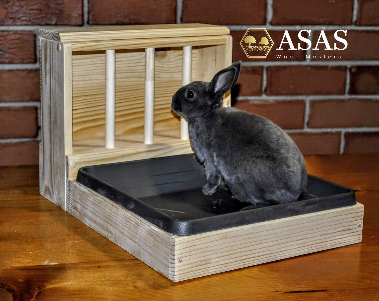 cute Rabbit sitting in his litter box with hay feeder, made by asaswood