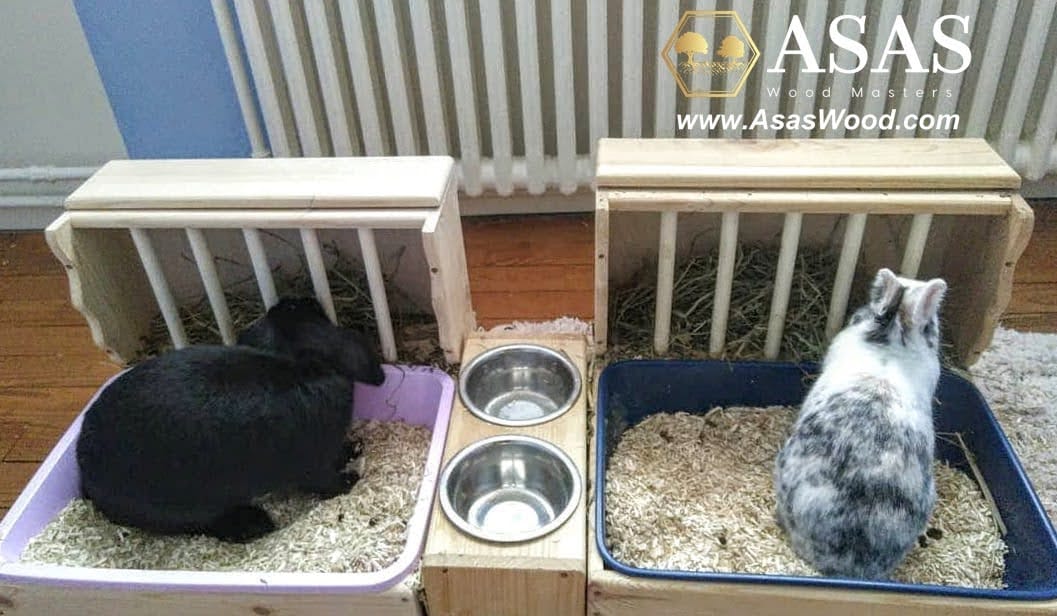 two cute bunny rabbits eating hay from litter box with hay feeder