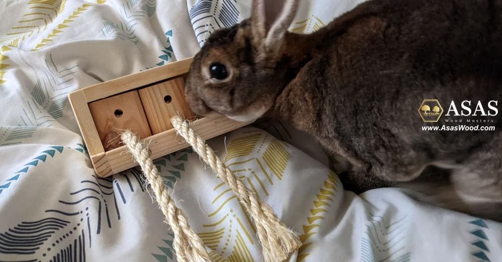 Logic Toys for Rabbits - My House Rabbit