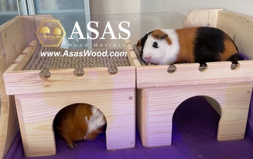 two wooden guinea pig houses with two lovely guinea pigs