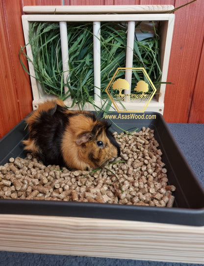 Guinea pig is watching at me while she is eating in the litter box from wooden hay feeder