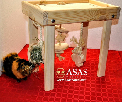 guinea pig is playing with toys on activity table
