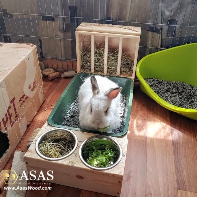 Kaninchen-Heufutterautomat mit Katzentoilette ❤️ MEDIUM 