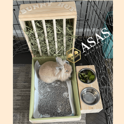 cute lionhead baby bunny rabbit eating greens from food bowl, bunny hay feeder wooden handmade, rabbit litter box, personalization on hay feeder, made by asaswood