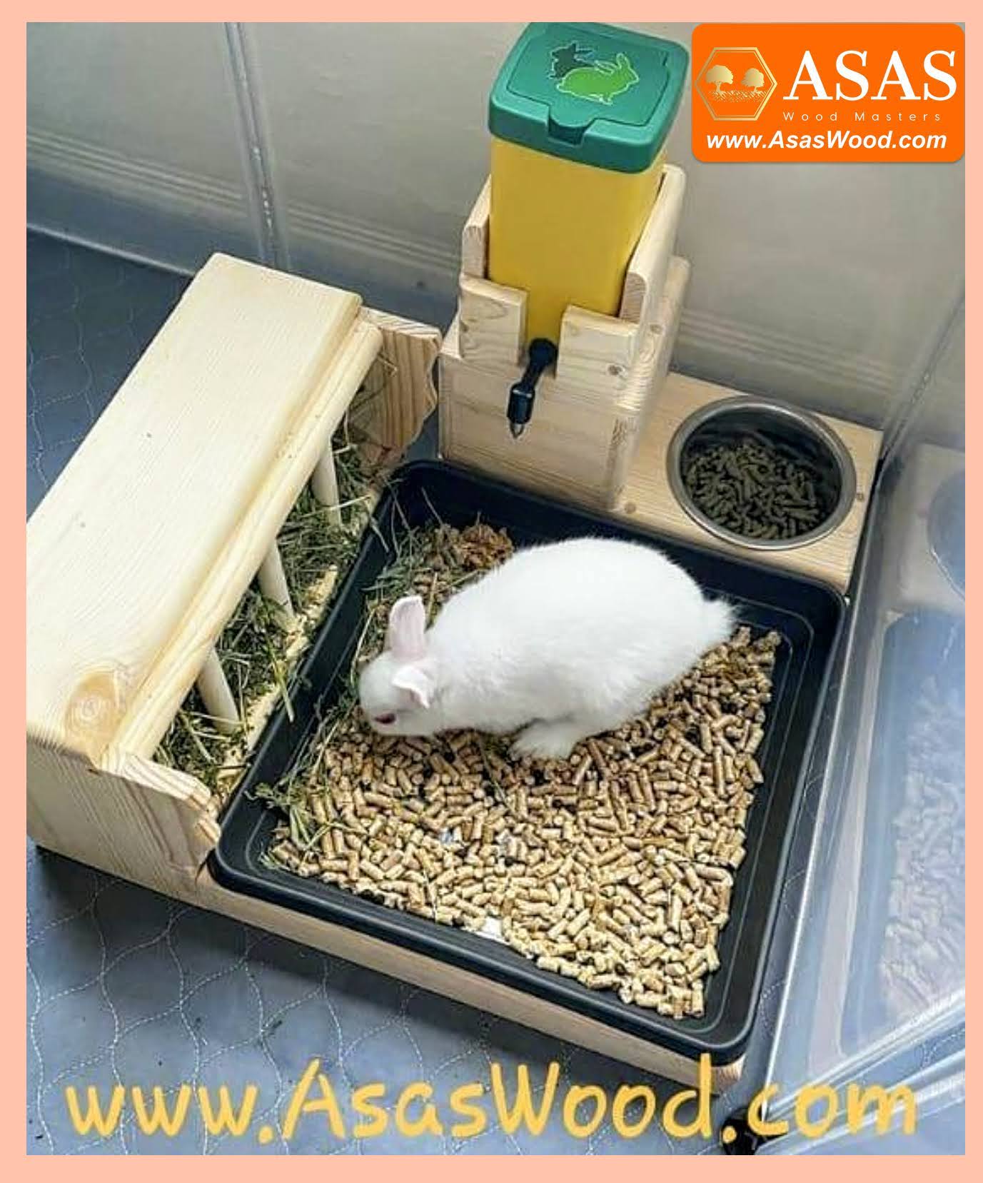 white cute bunny rabbit in litter box with hay feeder and water bottle