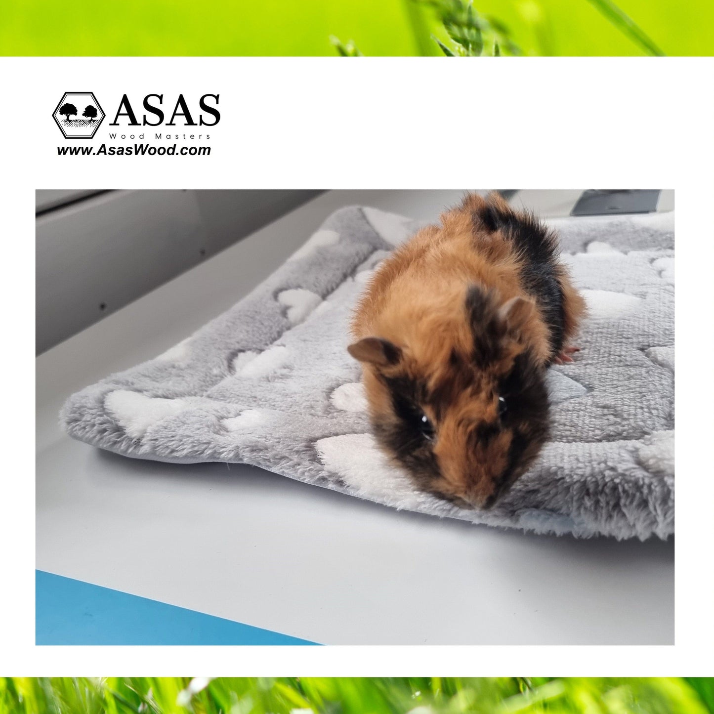 cute guinea pig on fleece liner, made by asaswood
